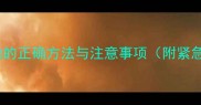 猫咪排出死胎的正确方法与注意事项附紧急处理指南
