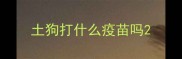 土狗打什么疫苗吗