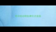 苏州给动物免费狂犬疫苗