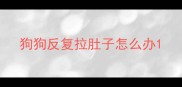 狗狗反复拉肚子怎么办