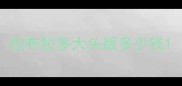拉布拉多大头版多少钱