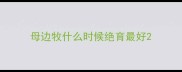 母边牧什么时候绝育最好
