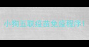 小狗五联疫苗免疫程序