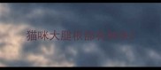 猫咪大腿根部有肿块