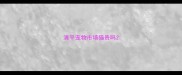 清平宠物市场猫贵吗