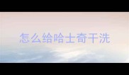 怎么给哈士奇干洗