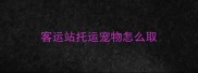 客运站托运宠物怎么取