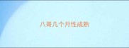 八哥几个月性成熟