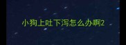 小狗上吐下泻怎么办啊