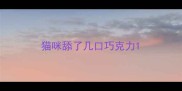 猫咪舔了几口巧克力