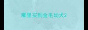 哪里买到金毛幼犬