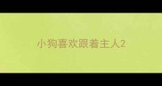 小狗喜欢跟着主人