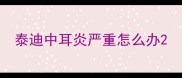 泰迪中耳炎严重怎么办