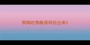 狗狗吃狗粮原样拉出来