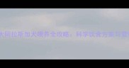 三个月大阿拉斯加犬喂养全攻略科学饮食方案与营养需求