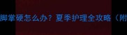 拉布拉多鼻子干脚掌硬怎么办夏季护理全攻略附专业解决方案