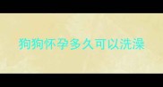 狗狗怀孕多久可以洗澡