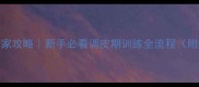 4个月金毛幼犬拆家攻略新手必看调皮期训练全流程附防拆家神器清单