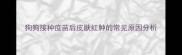 狗狗接种疫苗后皮肤红肿的常见原因分析