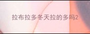 拉布拉多冬天拉的多吗