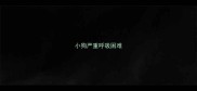 小狗严重呼吸困难