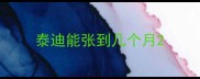 泰迪能张到几个月