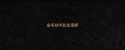 金毛幼犬肚皮湿疹