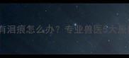 拉布拉多眼睛发红有泪痕怎么办专业兽医5大原因及家庭护理指南