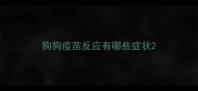 狗狗疫苗反应有哪些症状
