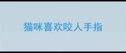 猫咪喜欢咬人手指
