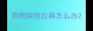 狗狗突然拉稀怎么办