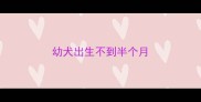 幼犬出生不到半个月