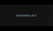 坐动车宠物怎么托运