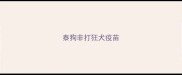 泰狗非打狂犬疫苗