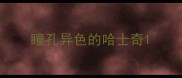 瞳孔异色的哈士奇