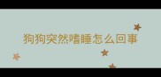 狗狗突然嗜睡怎么回事