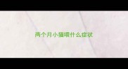 两个月小猫喂什么症状