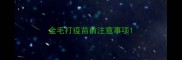 金毛打疫苗前注意事项
