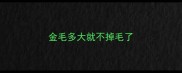 金毛多大就不掉毛了