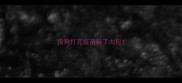 狗狗打完疫苗鼓了大包