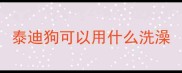 泰迪狗可以用什么洗澡