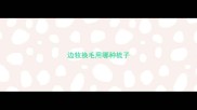 边牧换毛用哪种梳子