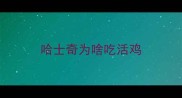 哈士奇为啥吃活鸡