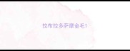 拉布拉多萨摩金毛
