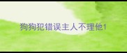 狗狗犯错误主人不理他