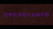 拉布拉多吃什么都不胖