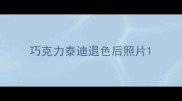 巧克力泰迪退色后照片