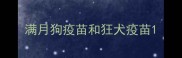 满月狗疫苗和狂犬疫苗