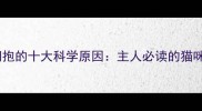 猫咪抗拒拥抱的十大科学原因主人必读的猫咪行为指南