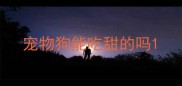 宠物狗能吃甜的吗